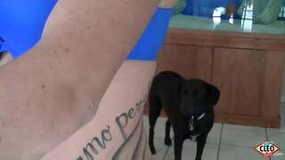 ���रार आकर्षक उसके क्लियो पसंद करने के लिए एक हाथ में मदद देने के लिए जब एक बड़ा डिक की जरूरत है तनाव जारी करने के लिए, यहां तक कि अगर वह गर्म हो सकता से! तो अच्छा है! पूरा वीडियो और सभी के अपने क्लियो @ ItsCleoLive.com!